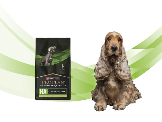 Purina Pro Plan Dog Veterinary Diets | Purina Singapore